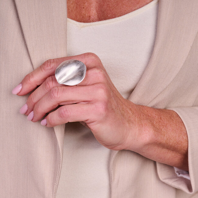 Les Cordes Ring BR15 Zilver Mat