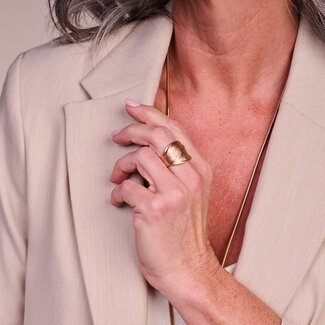 Les Cordes Ring BR16 Goud Mat