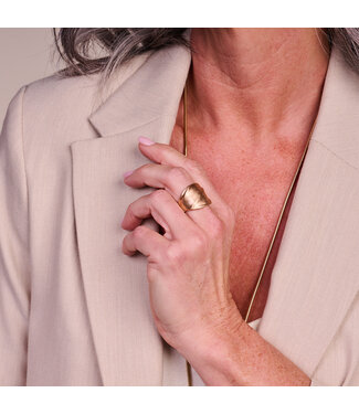 Les Cordes Ring BR16 Goud Mat
