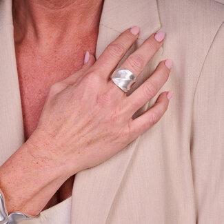 Les Cordes Ring BR16 Zilver Mat