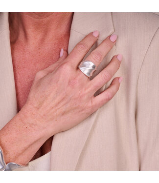 Les Cordes Ring BR16 Zilver Mat