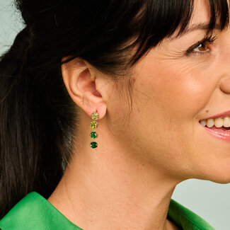 Les Cordes Oorring XOB33 Multi Groen