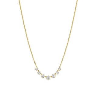 Silver Rose Halsketting Bettina Goud