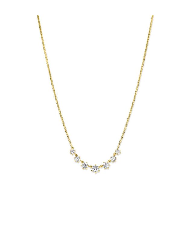 Silver Rose Halsketting Bettina Goud