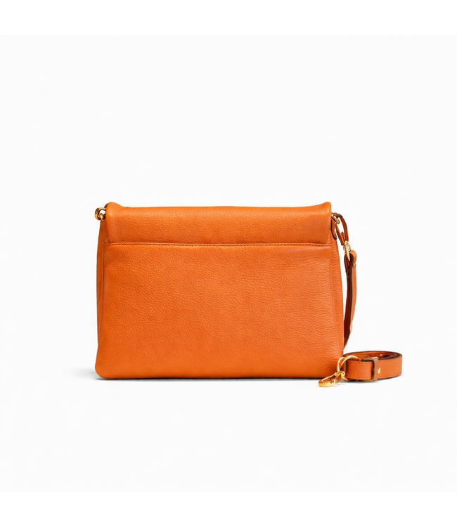 Carol J Handtas Lidia Zucca