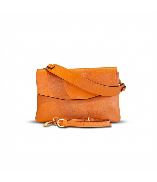 Carol J Handtas Angela Zucca