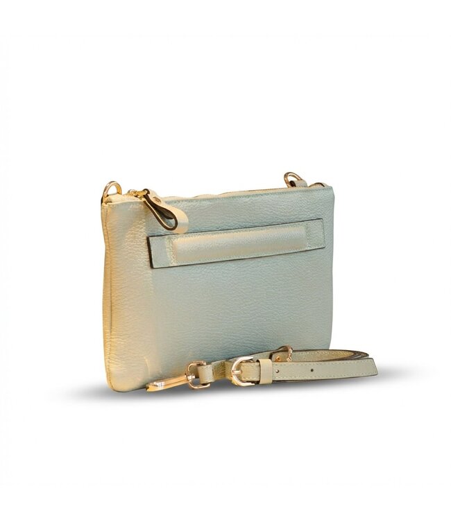 Carol J Handtas Eliana Mare