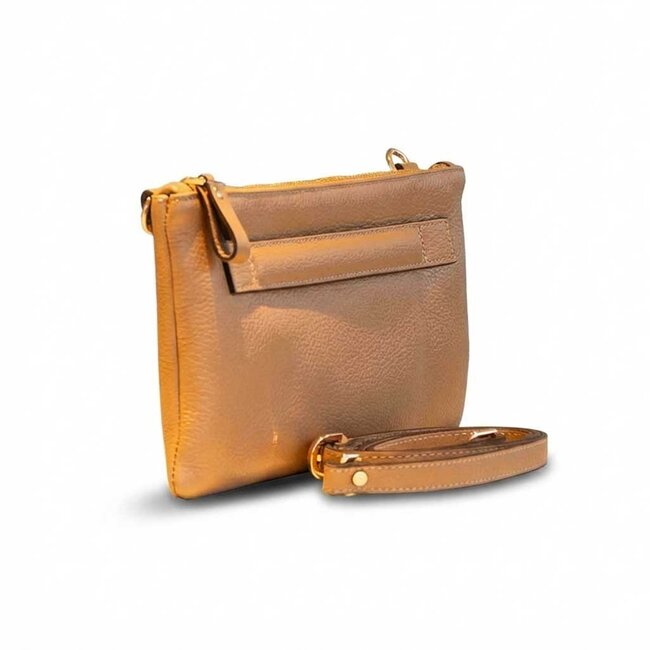 Carol J Handtas Eliana Tan