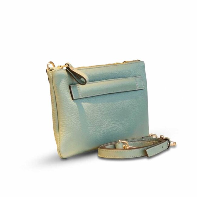 Carol J Handtas Eliana Green