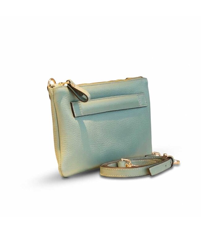 Carol J Handtas Eliana Green