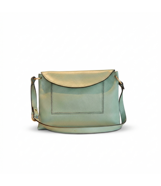 Carol J Handtas Giovanna Green