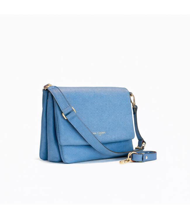 Carol J Handtas Lidia Bluette