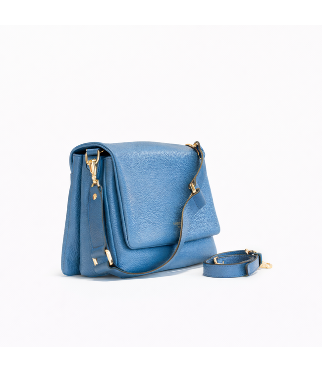 Carol J Handtas Lidia Bluette