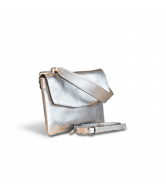Carol J Handbag Angela Silver