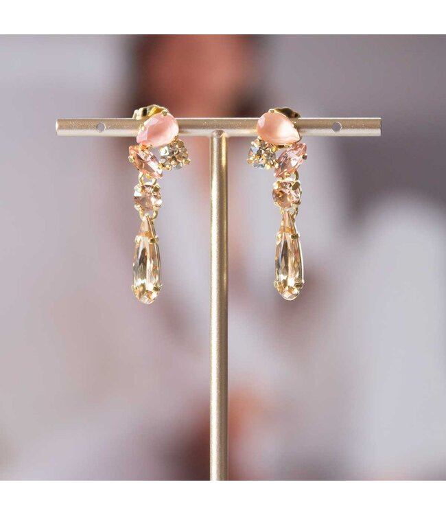 Paviè Oorring Brunella Corallo