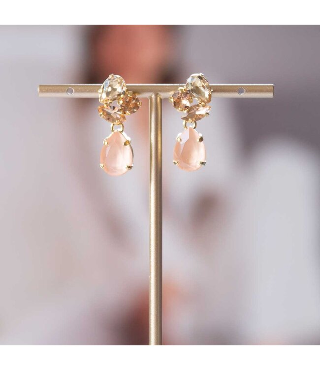 Paviè Paviè - Oorring Pesca