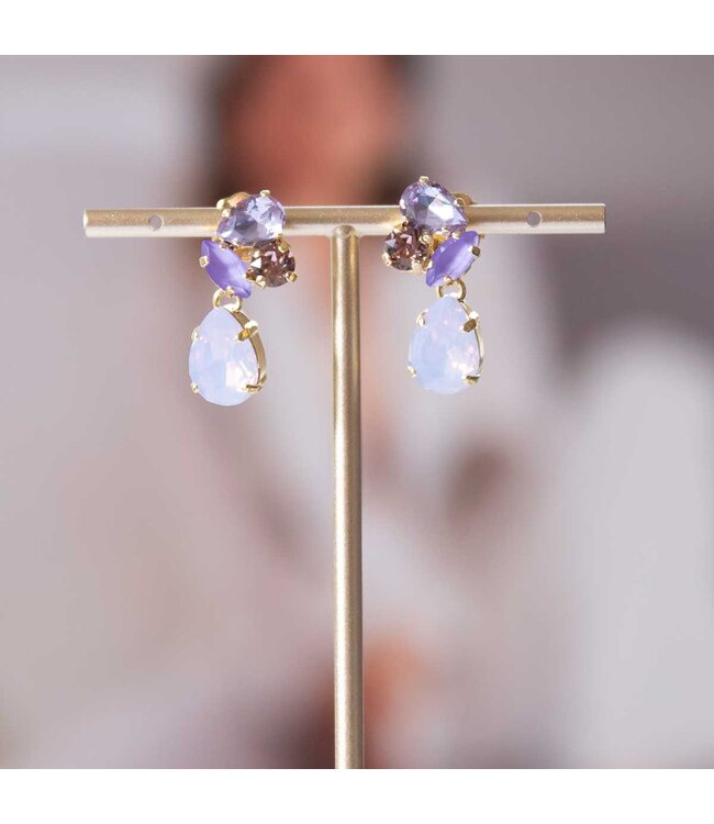 Paviè Paviè - Oorring Glicine