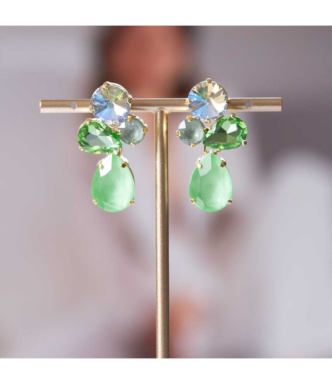 Paviè Paviè - Oorring Verde