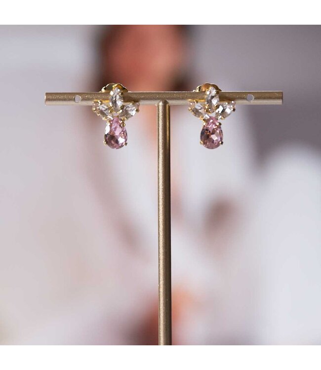 Paviè Paviè - Oorring Rosa