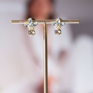 Paviè Paviè - Oorring Azzurro