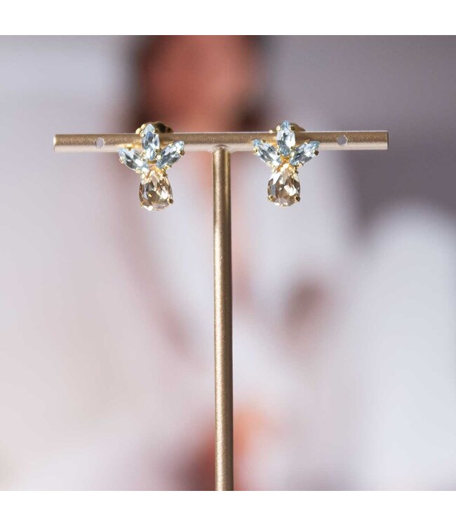 Paviè Paviè - Oorring Azzurro