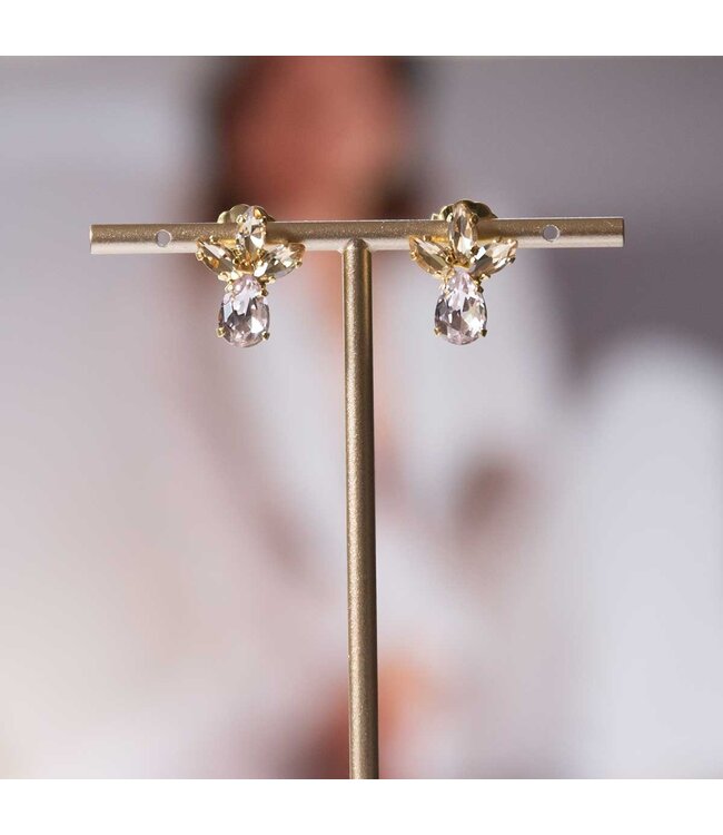 Paviè Oorring Martina Oro