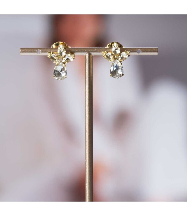 Paviè Paviè - Oorring Giallo