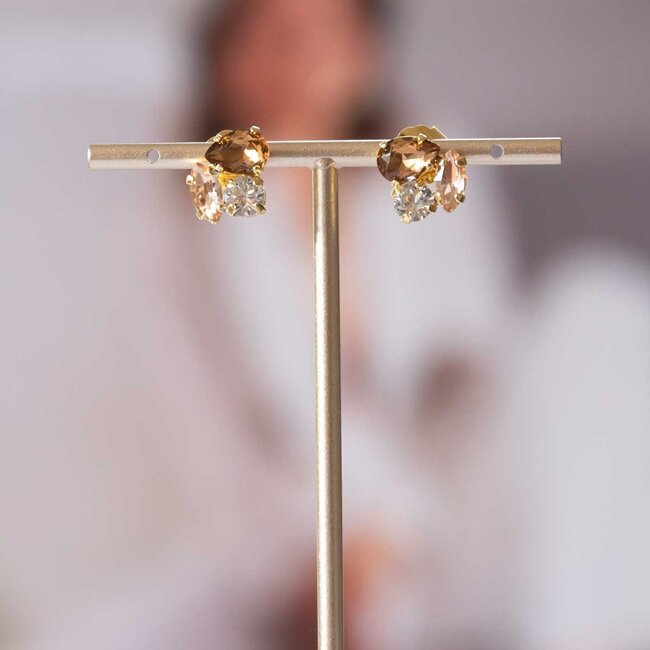 Paviè Paviè - Oorring Bronzo