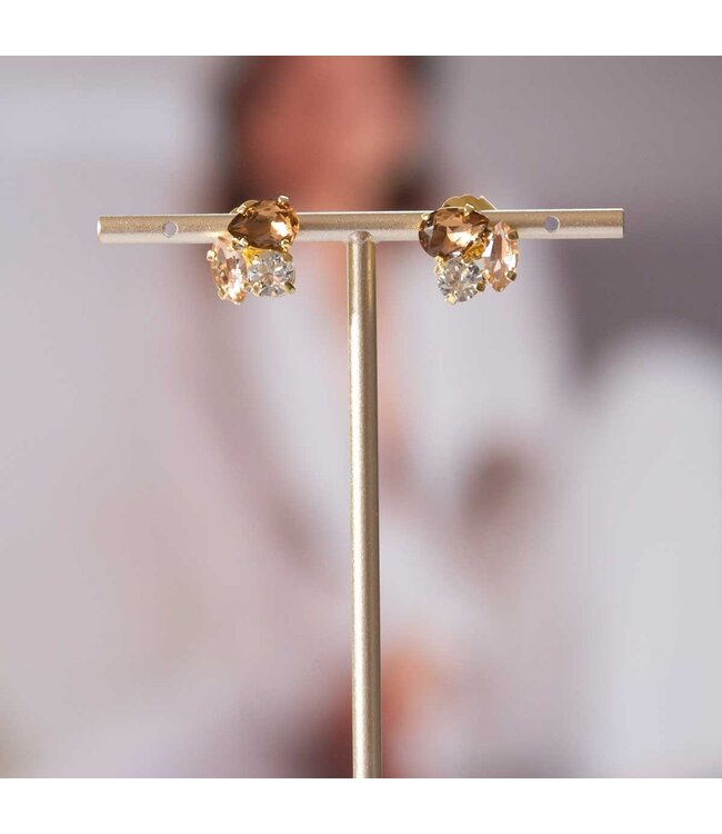 Paviè Paviè - Oorring Bronzo