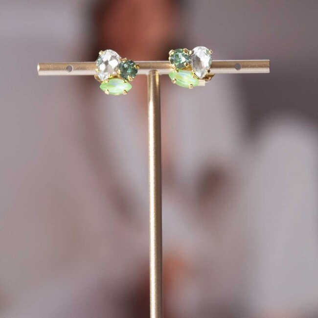 Paviè Paviè - Oorring Verde