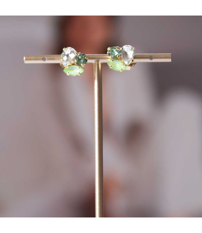 Paviè Paviè - Oorring Verde