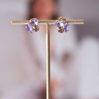 Paviè Paviè - Oorring Glicine