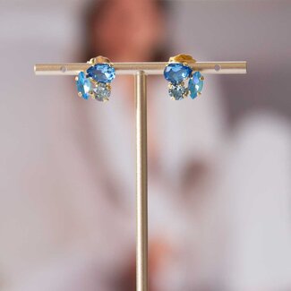 Paviè Paviè - Oorring Azzurro