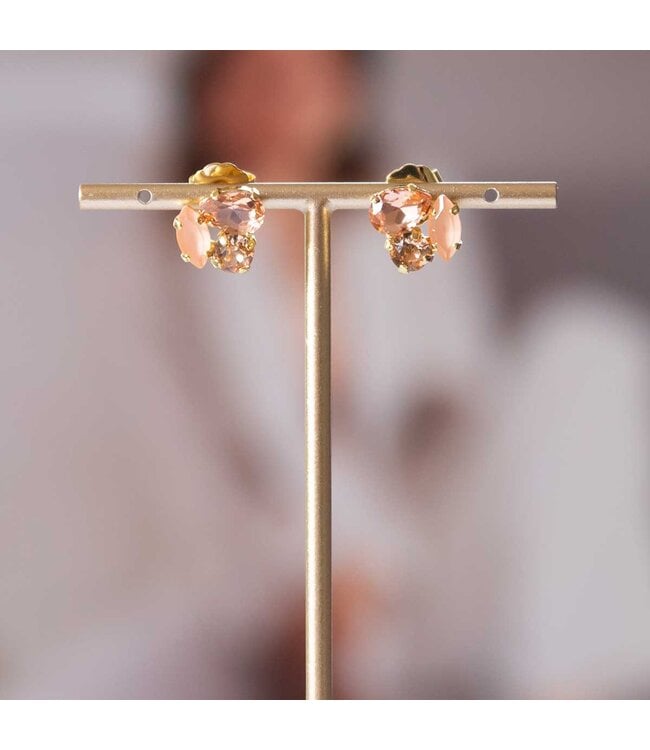 Paviè Paviè - Oorring Corallo