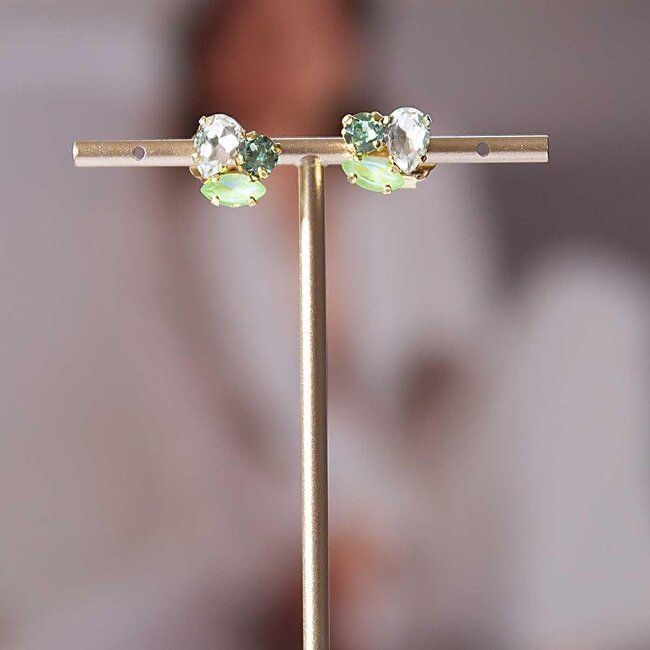 Paviè Paviè - Oorring Verde