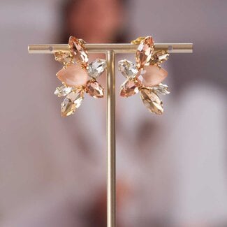 Paviè Oorring Angelica Corallo