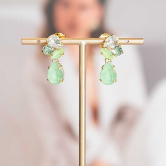 Paviè Oorring Albina Verde