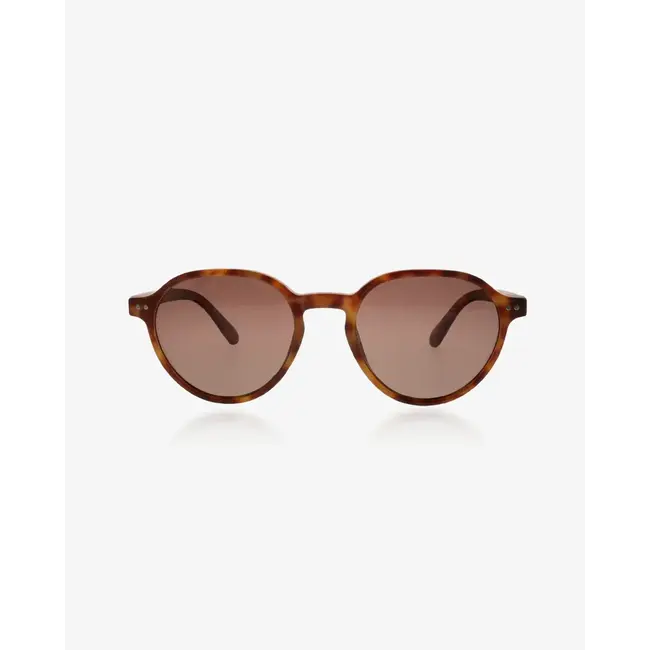 Oozoo brown tortoise sunglasses