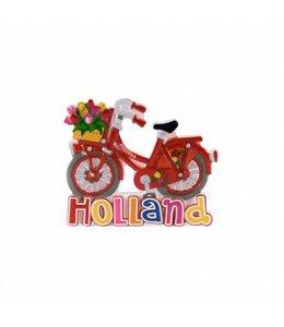 12 stuks magneet polystone fiets rood Holland