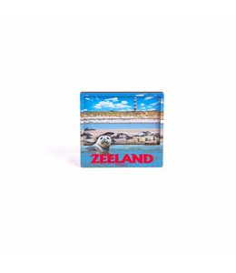 12 stuks Magneet 2D MDF compilatie Zeeland