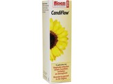 Bloem Candiflow Bloem Candiflow