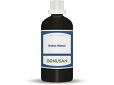 Bonusan Rubus idaeus Bonusan Rubus idaeus