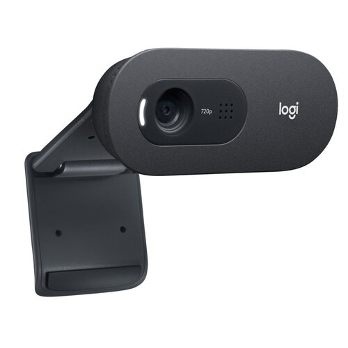 Logitech C505e webcam 1280 x 720 Pixels USB Zwart