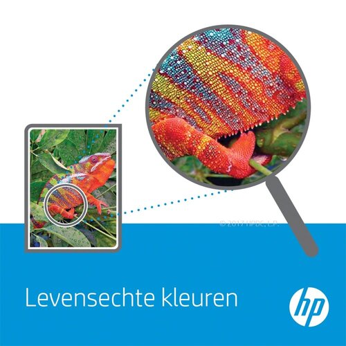 Hewlett Packard HP 302 | Originele Cyaan/Magenta/Geel Inktcartridge | 1 Stuk