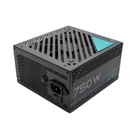PSAZ 750G | 750 Watt Gold ATX PSU | Modulair | Power Supply | Voeding