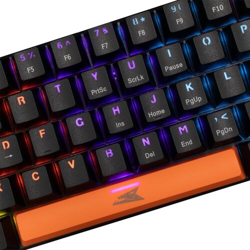 Baracuda DOLPHIN RGB 60% | Bedraad Gaming Toetsenbord | Blue Switches | Anti-Ghosting | QWERTY | Zwart