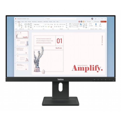 Lenovo ThinkVision E24-40 | 23,8" Full HD IPS | 100Hz | HDMI & DisplayPort | Monitor