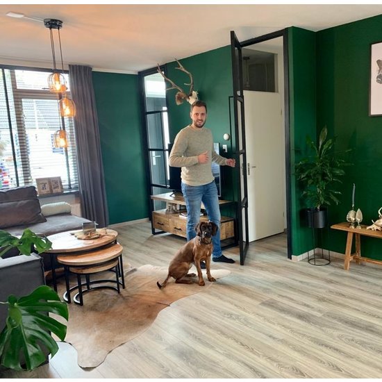 Stalen scharnierdeur