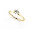 Niessing Princess 0.30 SI G (TW)