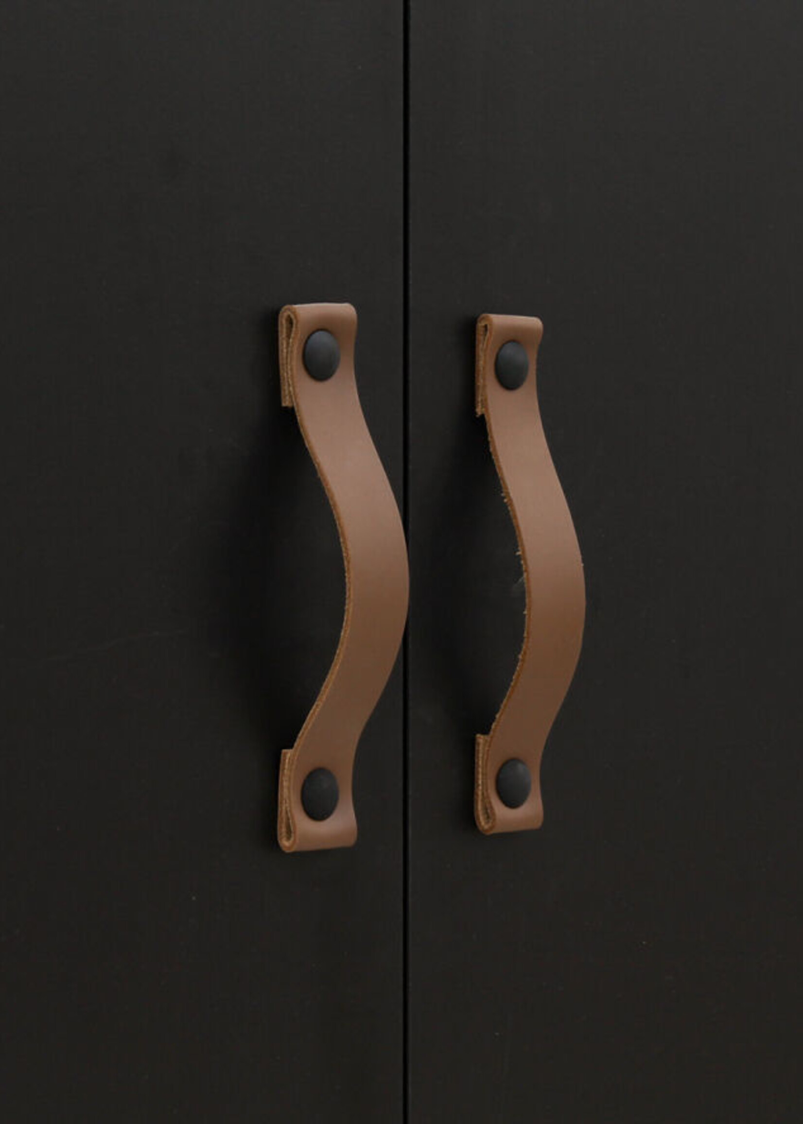 BOPITA 2 door cabinet Floris black / natural